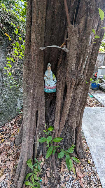 Une dame et son arbre / In between trunk trinket