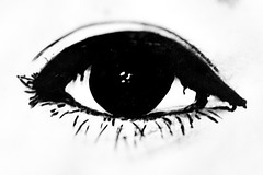 Oog