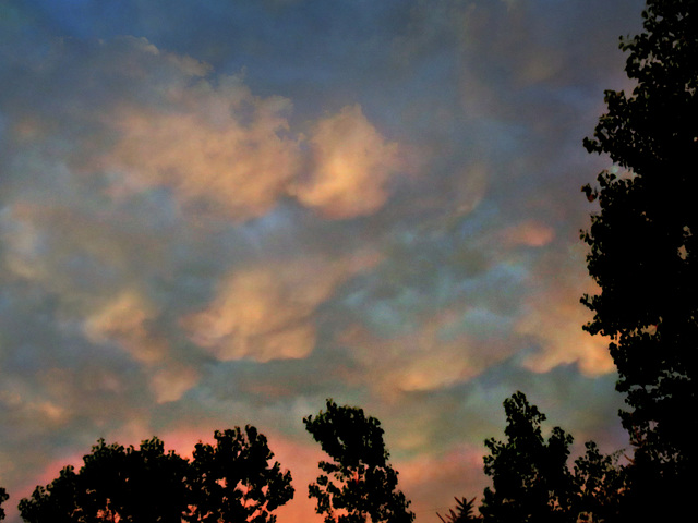 After a thunderstorm July 19th, 9:10 p.m.