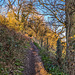 Pathway up to the Peak forest canal
