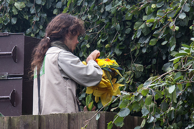 20140926 5435VRAw [D~SFA] Vogelpark, Walsrode