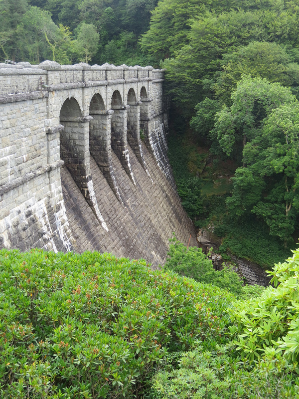 burrator reservoir, dartmoor, devon