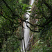 La Fortuna Waterfall