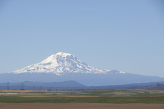 Mount Adams