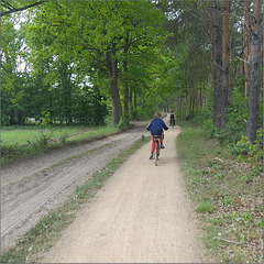 TSC = Activities during lockdown