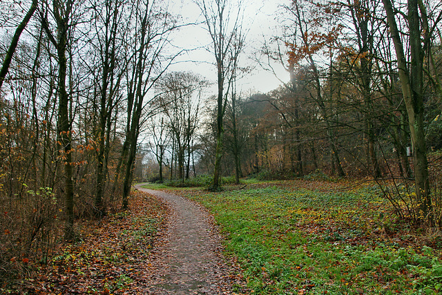 Weg oberhalb des Staussebogens (Essen-Heisingen) / 1.12.2019