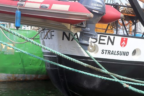 Fridtjof Nansen