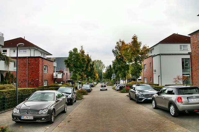 Theodor-W.-Adorno-Weg (Herten) / 17.10.2020