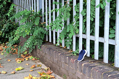 IMG 3800-001-Lost Blue Shoe