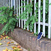 IMG 3800-001-Lost Blue Shoe