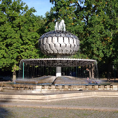 20250920 084909©IngoKrehl