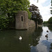 Swans On The Bishop's Palace Moat