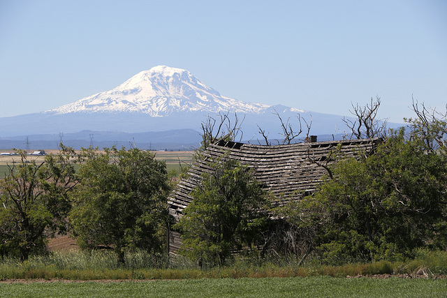 Mount Adams