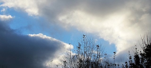 Der morgendliche Blick in den Himmel