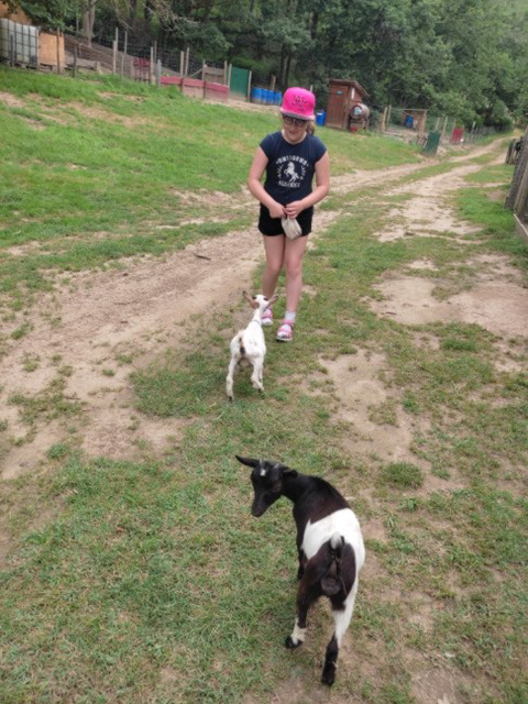 Un petit tour à la ferme