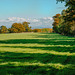 Shadows of Autumn!