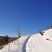 oberhalb Schluchsee, auf dem Weg zum Riesenbühlturm (© Buelipix)