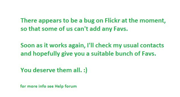 Flickr-Bug, 11. sept. 2013