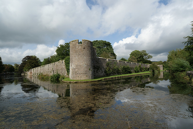 Bishop's Palace Moat