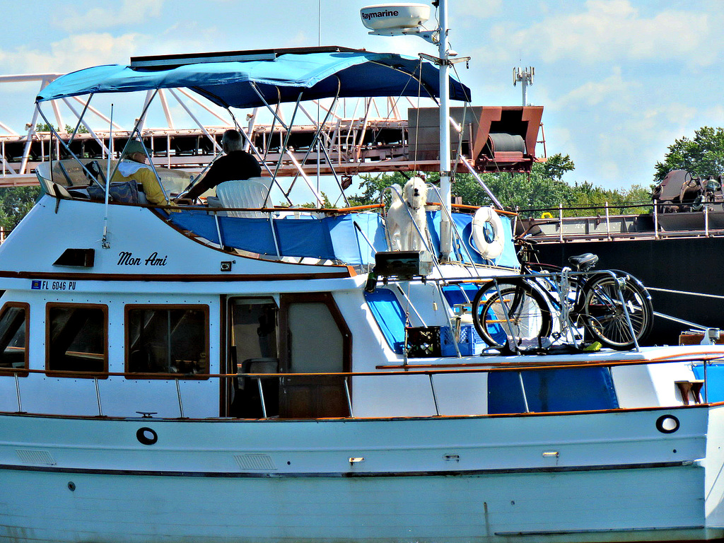 Barking at me from a quarter mile away out on St. Clair River.