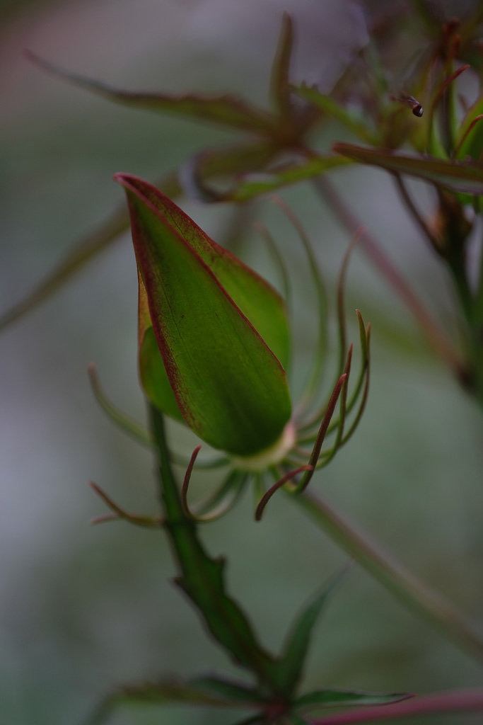 DSCF3973