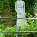 Frau im Grünen