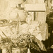 Lamp and Fern - Detail of Parlor and Sitting Room, Elizabethtown, Pa., March 10, 1912