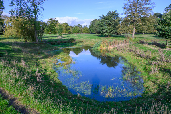 Old Park Pond-DSD1422