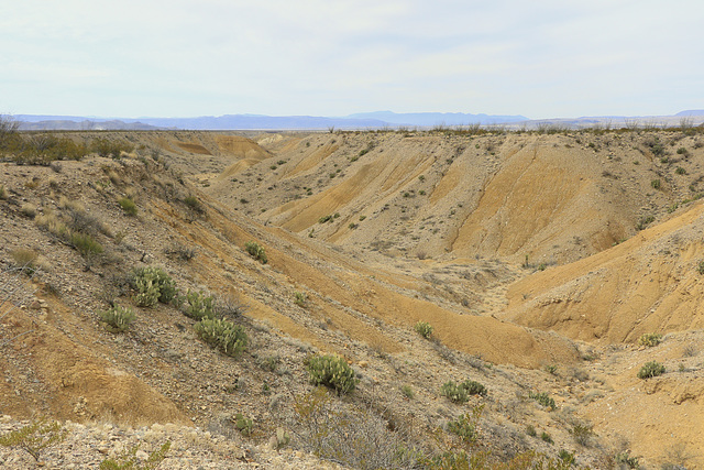 Near Maverick Junction