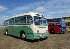 'BUSES Festival' at Sywell Aerodrome - 7 Aug 2022 (P1120927)