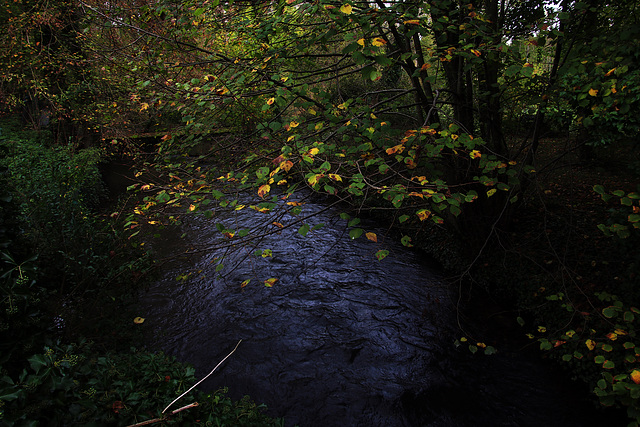 Le murmure d'un cours d'eau entouré d'arbres , c'est la sérénité assurée .