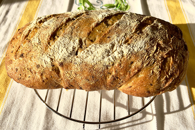 I think I am getting the hang of this sourdough lark…