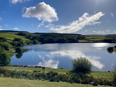 The Morning after the storm