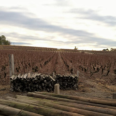 Faire flèche de tout bois .