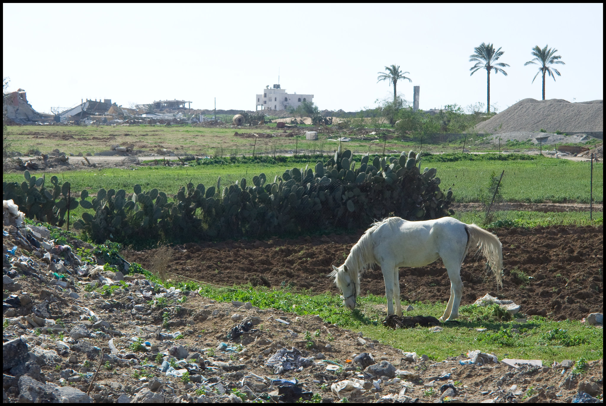 Last vestige of agriculture