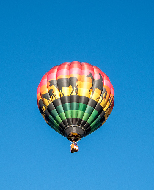 Albuquerque balloon fiesta23