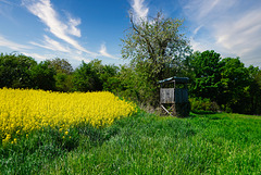 Es ist Frühling in Franken - It's spring in Franconia