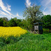 Es ist Frühling in Franken - It's spring in Franconia