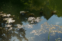 L'Yerres, rivière sauvage d'Île-de-France (2) L'Yerres, rivière sauvage d'Île-de-France (2)