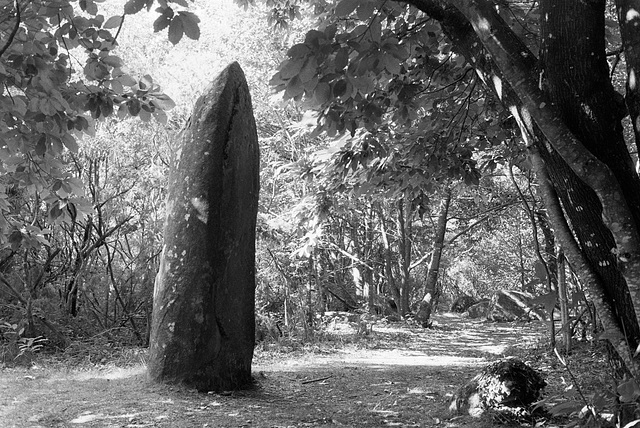 18.08.01 Menhir de Kerara 8186