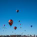 Albuquerque balloon fiesta24