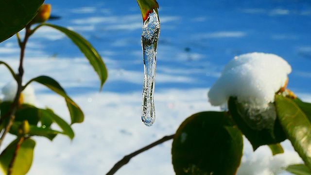 Enfin un peu d'hiver !