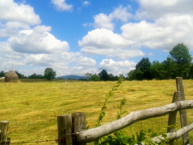 Mowing time fence