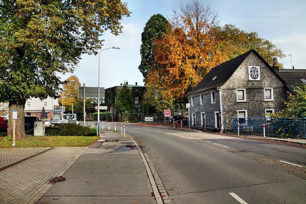 Ringstraße (Essen-Kettwig) / 1.11.2023