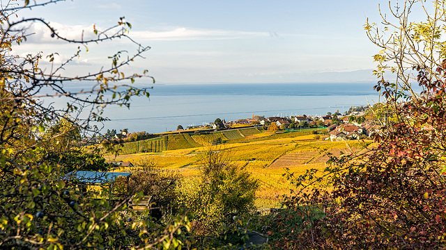 171028 Bossiere Lavaux