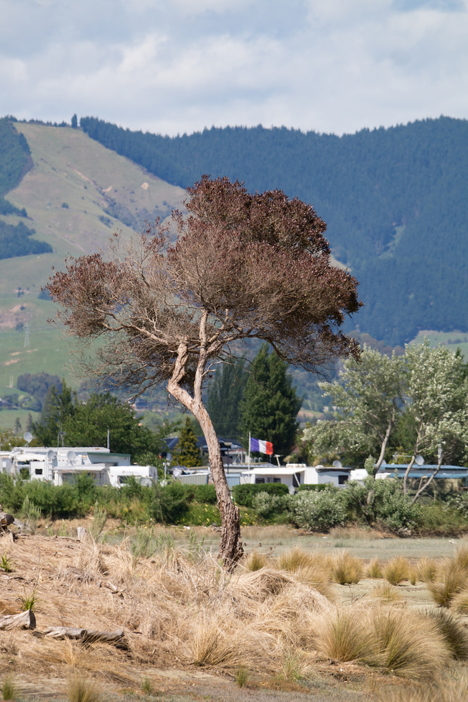 Neuseeland - Nelson