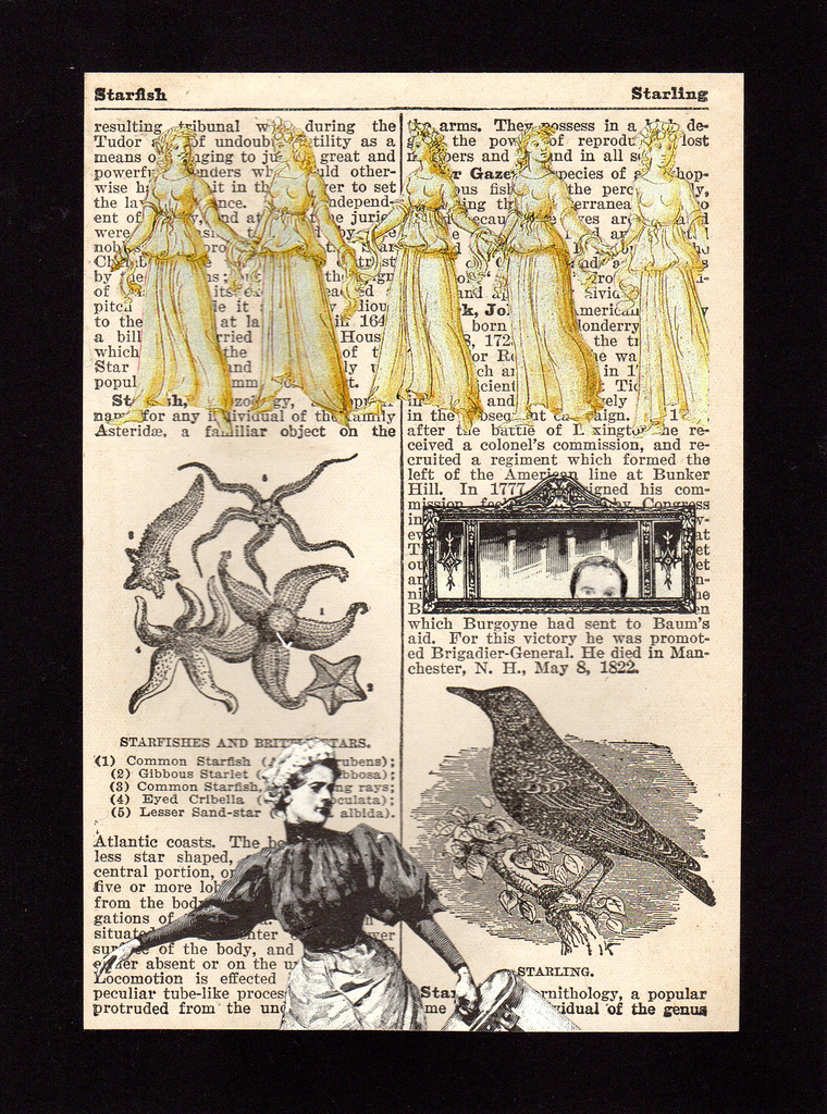 Starling Locomotion