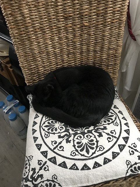 Onys en boule pres du radiateur