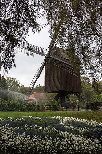 20140926 5438VRAw [D~SFA] Bockwindmühle, Vogelpark, Walsrode