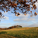 Walking over The Drumbles in Autumn